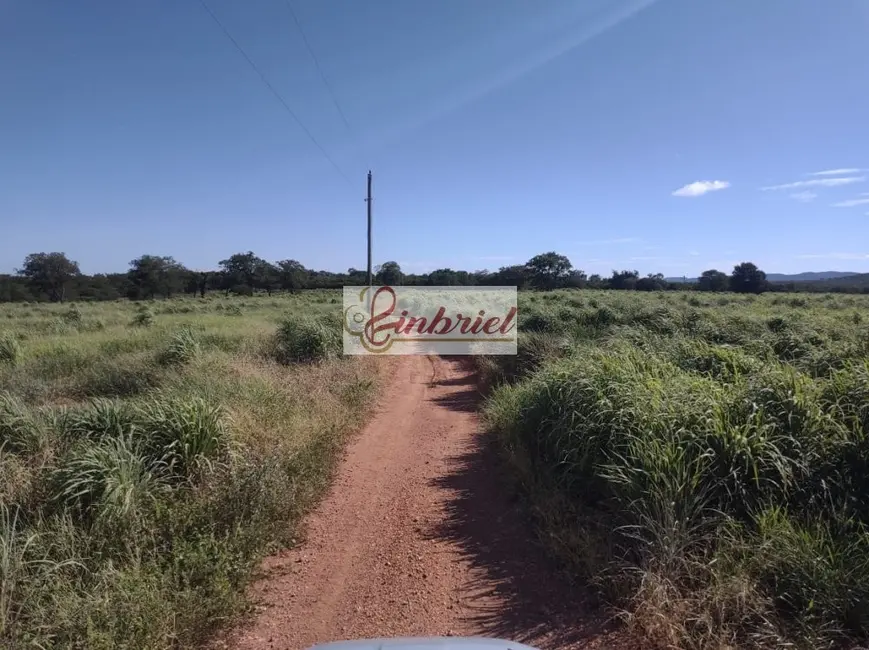 Foto 4 de Fazenda / Haras à venda, 470m2 em Janauba - MG