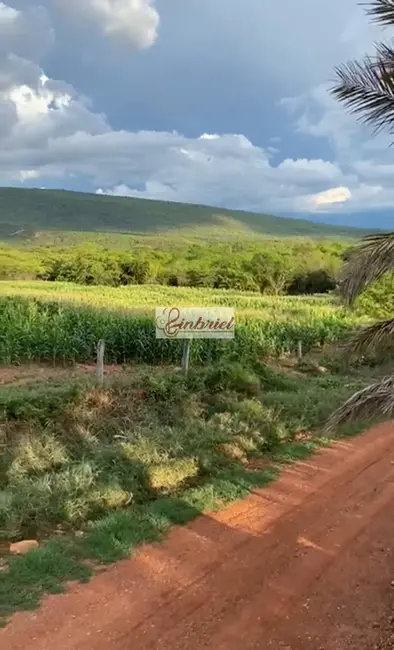 Foto 4 de Fazenda / Haras com 2 quartos à venda, 90000m2 em Janauba - MG