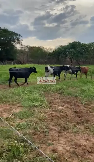 Foto 3 de Fazenda / Haras com 2 quartos à venda, 90000m2 em Janauba - MG