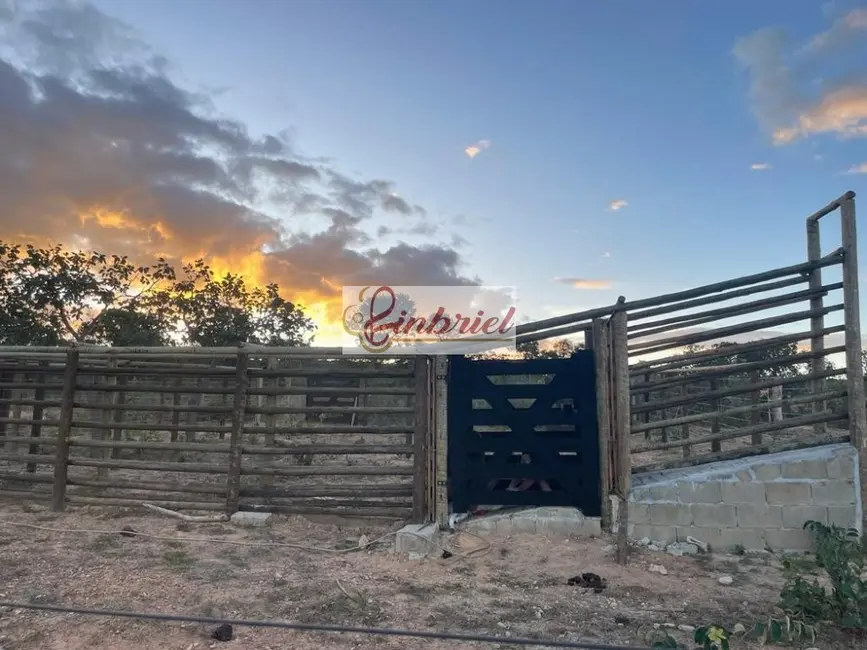 Foto 6 de Fazenda / Haras à venda, 195m2 em Grao Mogol - MG