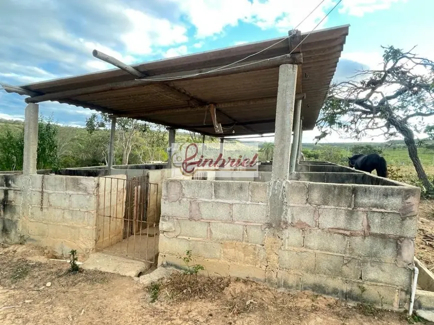 Foto 5 de Fazenda / Haras à venda, 195m2 em Grao Mogol - MG