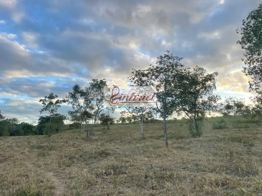 Foto 4 de Fazenda / Haras à venda, 195m2 em Grao Mogol - MG