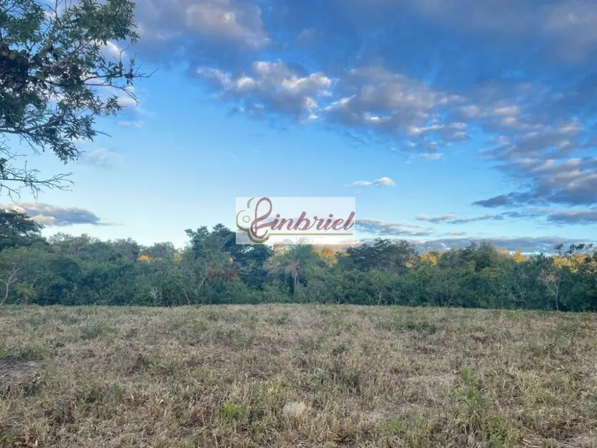 Foto 3 de Fazenda / Haras à venda, 195m2 em Grao Mogol - MG