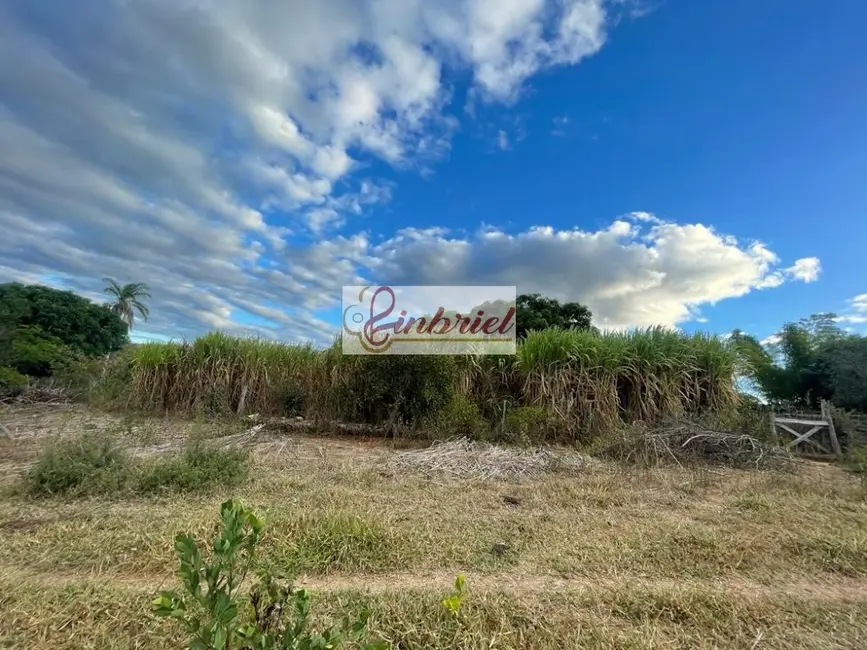 Foto 9 de Fazenda / Haras à venda, 195m2 em Grao Mogol - MG
