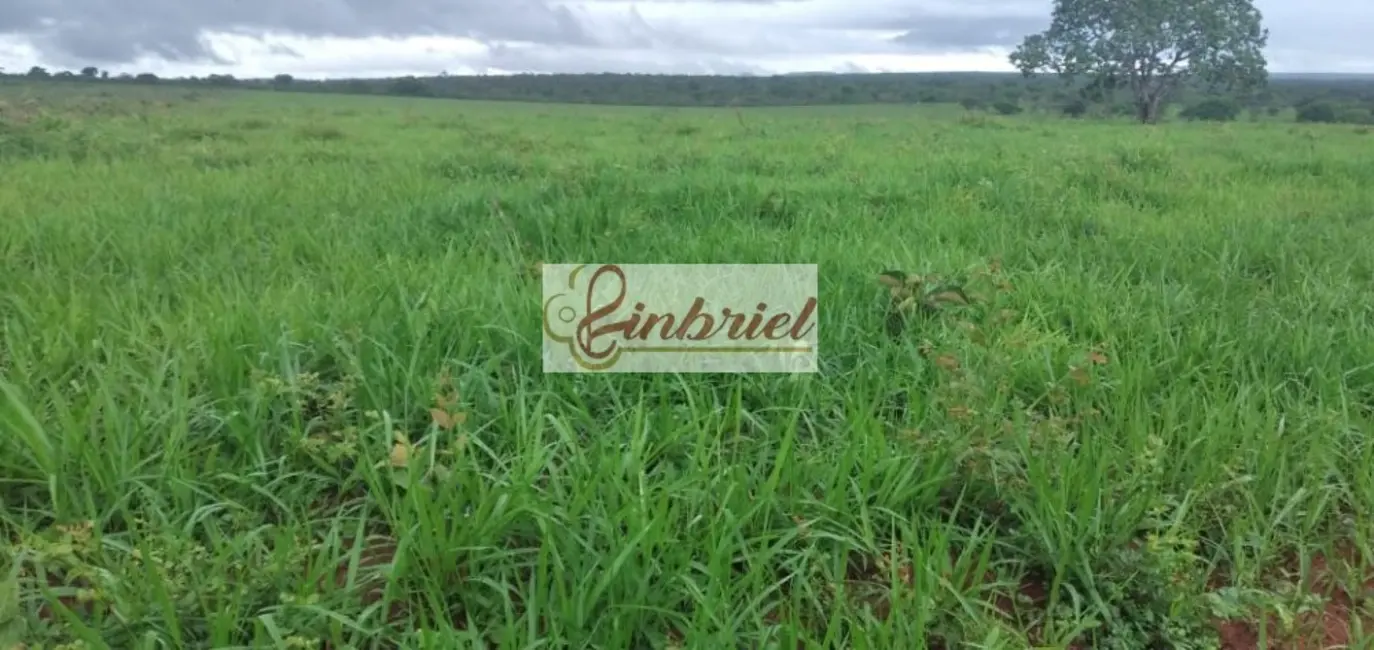 Foto 3 de Fazenda / Haras à venda, 503m2 em Bonito De Minas - MG