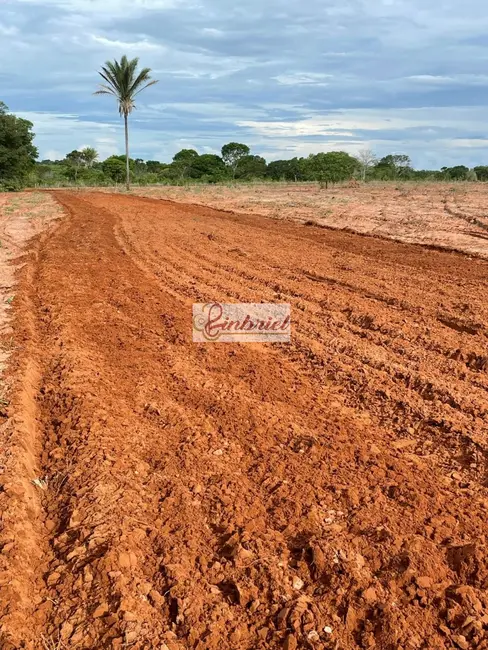 Foto 4 de Fazenda / Haras à venda, 503m2 em Bonito De Minas - MG