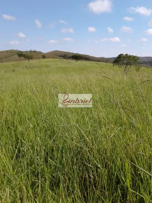 Foto 5 de Fazenda / Haras à venda, 467m2 em Buritizeiro - MG
