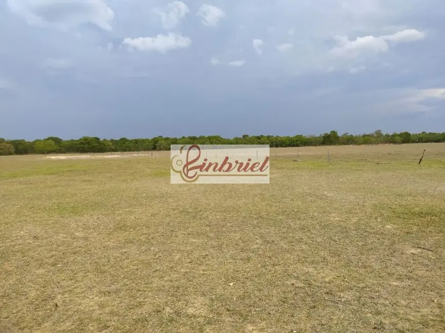 Foto 6 de Fazenda / Haras à venda, 467m2 em Buritizeiro - MG