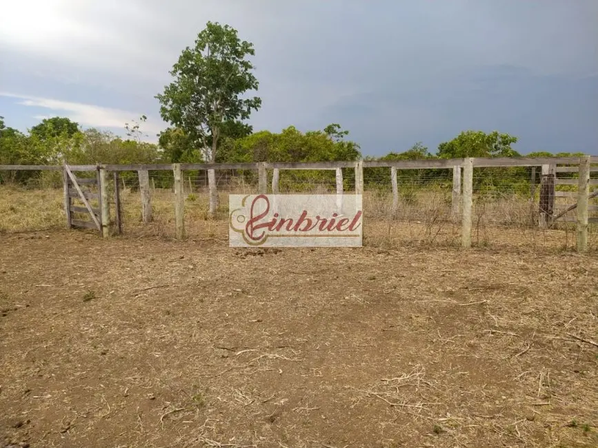 Foto 7 de Fazenda / Haras à venda, 467m2 em Buritizeiro - MG