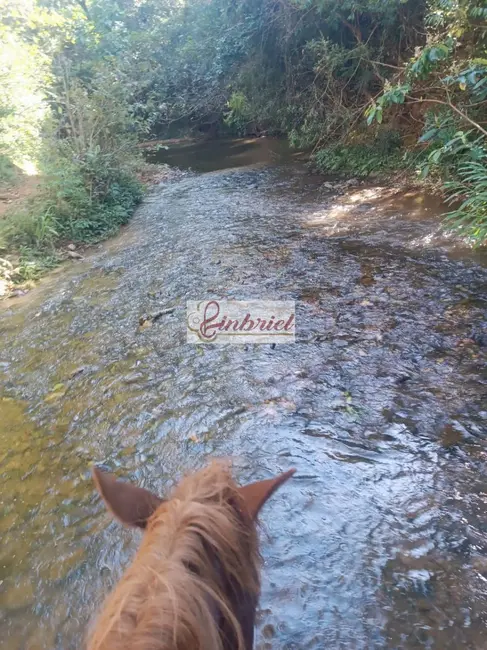 Foto 1 de Fazenda / Haras à venda, 467m2 em Buritizeiro - MG