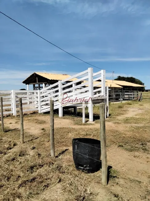 Foto 6 de Fazenda / Haras com 2 quartos à venda, 620m2 em Janauba - MG