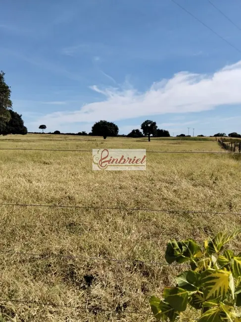 Foto 7 de Fazenda / Haras com 2 quartos à venda, 620m2 em Janauba - MG