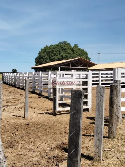 Foto 8 de Fazenda / Haras com 2 quartos à venda, 620m2 em Janauba - MG