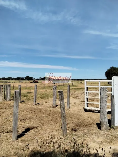 Foto 4 de Fazenda / Haras com 2 quartos à venda, 620m2 em Janauba - MG