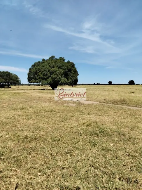 Foto 5 de Fazenda / Haras com 2 quartos à venda, 620m2 em Janauba - MG