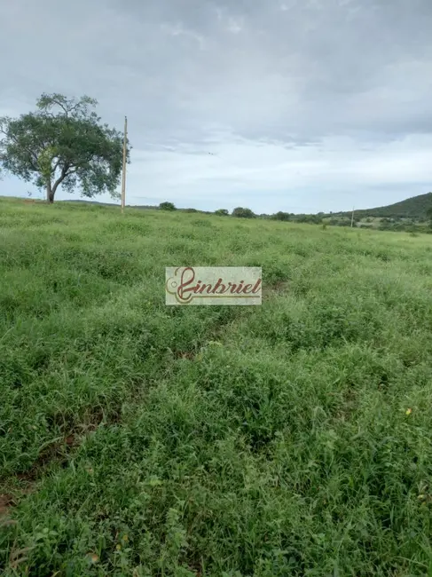 Foto 5 de Fazenda / Haras à venda, 430m2 em Janauba - MG