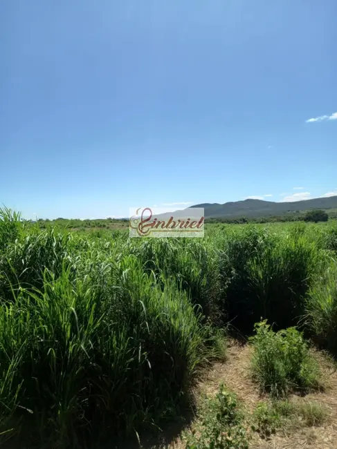 Foto 7 de Fazenda / Haras à venda, 430m2 em Janauba - MG