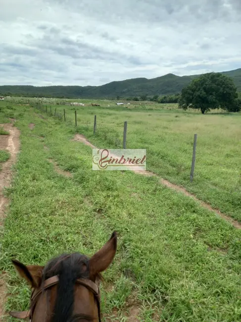 Foto 8 de Fazenda / Haras à venda, 430m2 em Janauba - MG