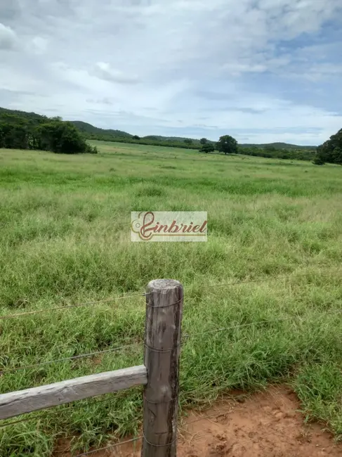 Foto 1 de Fazenda / Haras à venda, 430m2 em Janauba - MG