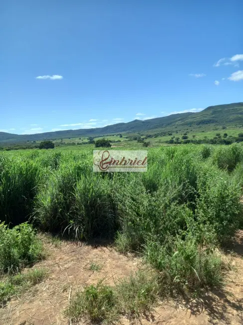 Foto 6 de Fazenda / Haras à venda, 430m2 em Janauba - MG