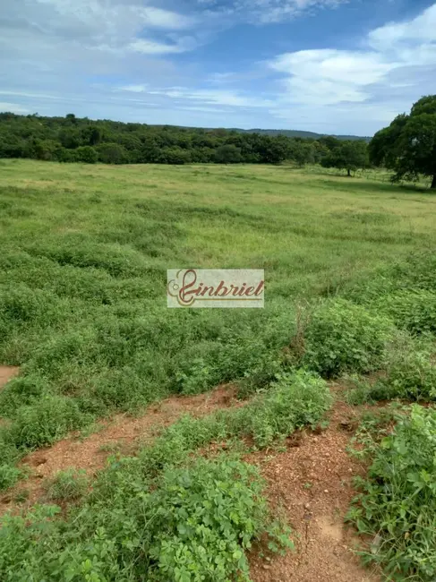 Foto 2 de Fazenda / Haras à venda, 430m2 em Janauba - MG