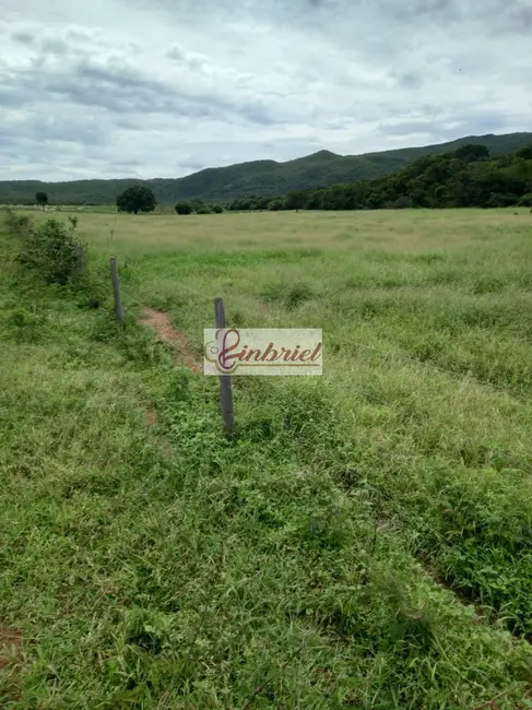 Foto 3 de Fazenda / Haras à venda, 430m2 em Janauba - MG