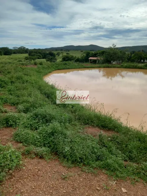 Foto 9 de Fazenda / Haras à venda, 430m2 em Janauba - MG