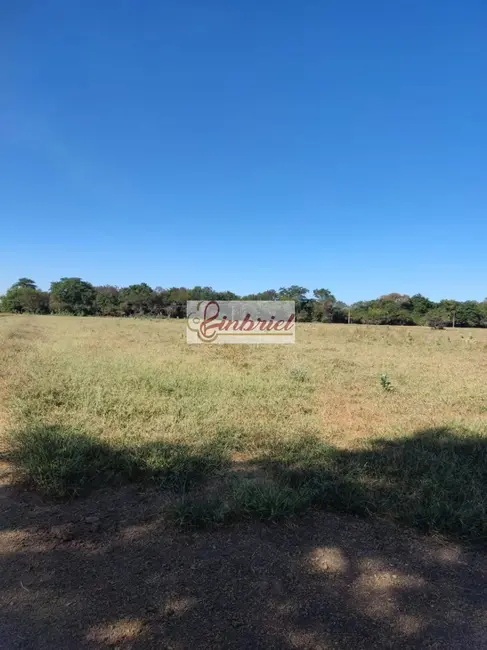 Foto 4 de Fazenda / Haras à venda, 6327m2 em Janauba - MG