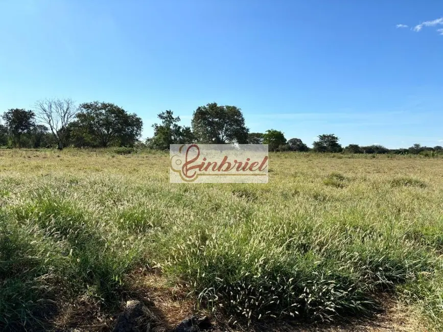 Foto 9 de Fazenda / Haras à venda, 6327m2 em Janauba - MG