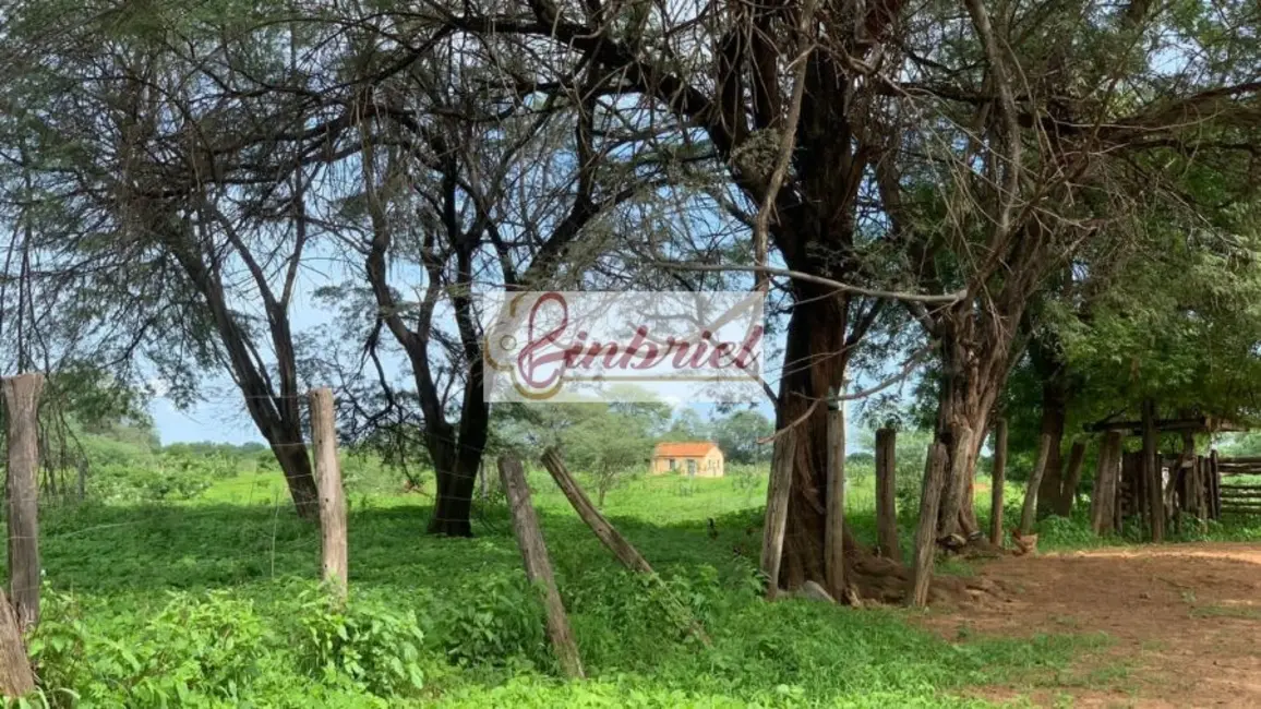 Foto 4 de Fazenda / Haras à venda, 2216m2 em Jaiba - MG