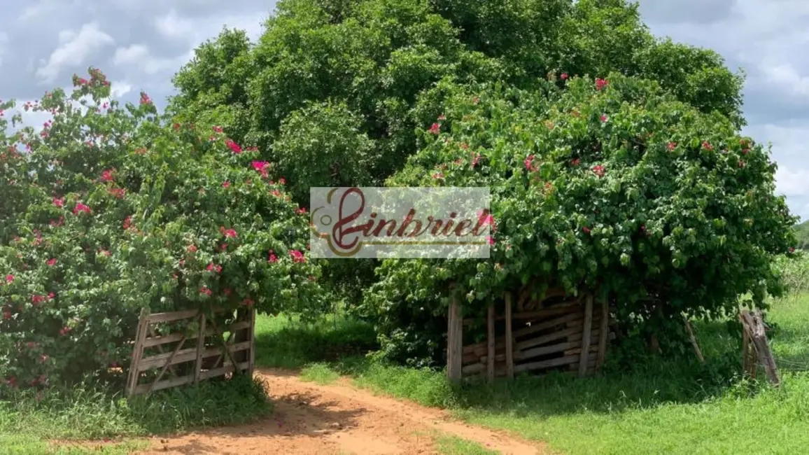 Foto 1 de Fazenda / Haras à venda, 2216m2 em Jaiba - MG
