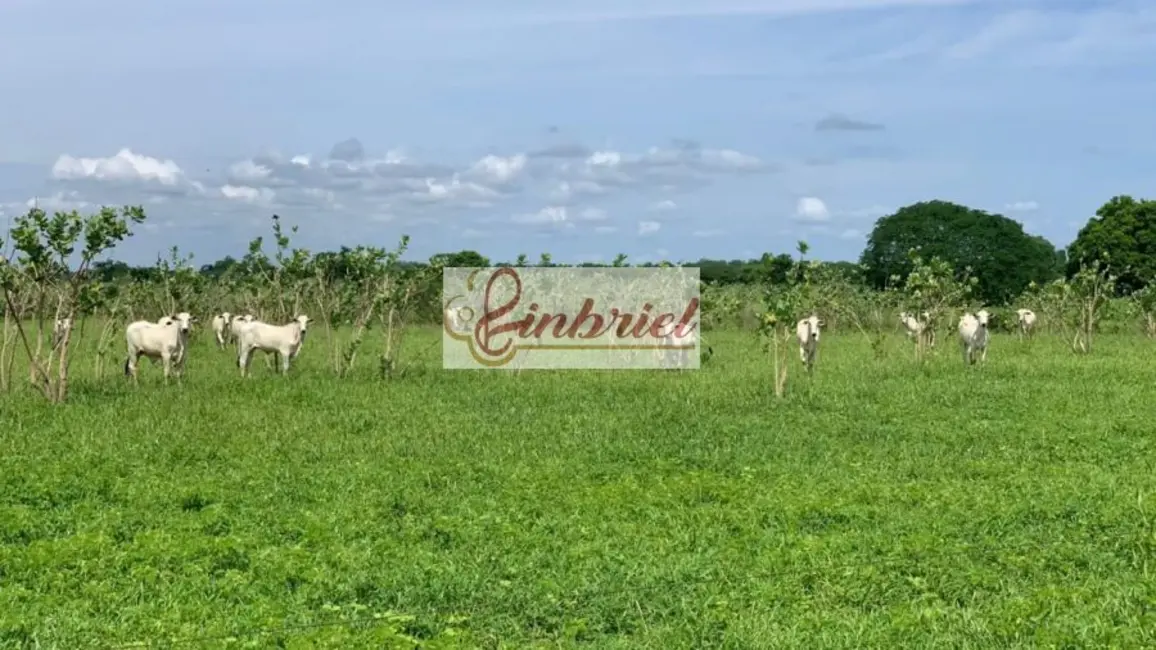 Foto 5 de Fazenda / Haras à venda, 2216m2 em Jaiba - MG