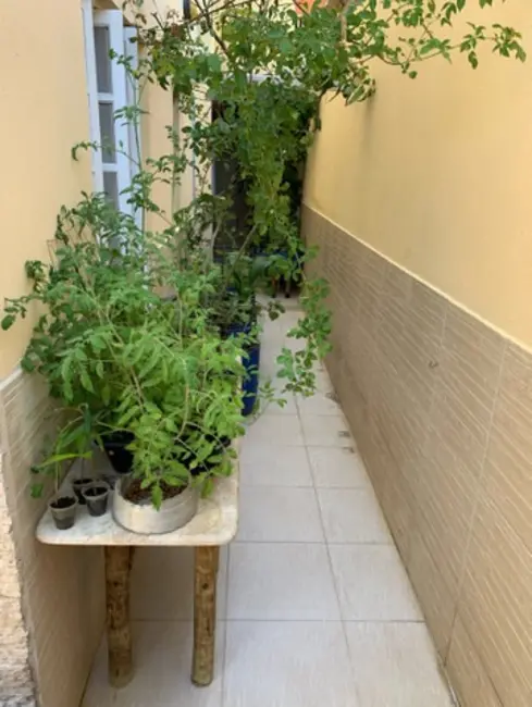 Foto 3 de Apartamento com 3 quartos à venda, 110m2 em Stella Maris, Salvador - BA