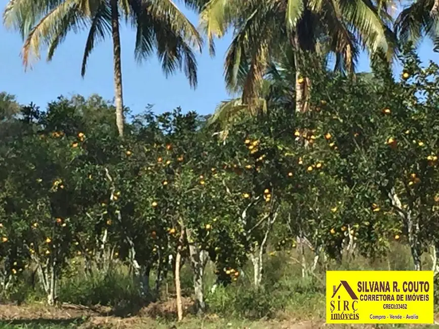 Chácara com 4 quartos à venda, 45000m2 em Picos, Itaborai - RJ - imagem 9 Foto 9 de Chácara com 4 quartos à venda, 45000m2 em Picos, Itaborai - RJ