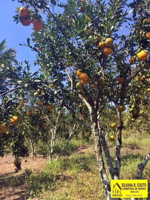 Foto 1 de Chácara com 4 quartos à venda, 45000m2 em Picos, Itaborai - RJ