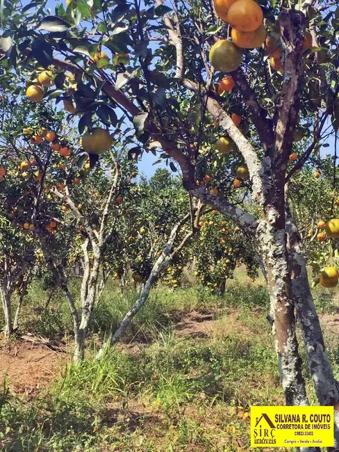 Chácara com 4 quartos à venda, 45000m2 em Picos, Itaborai - RJ - imagem 3 Foto 3 de Chácara com 4 quartos à venda, 45000m2 em Picos, Itaborai - RJ