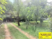 Imagem 6