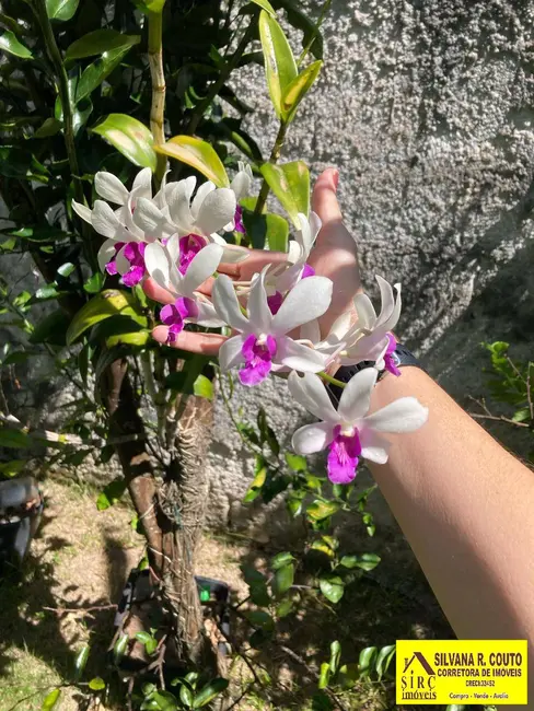 Foto 7 de Casa de Condomínio com 3 quartos à venda, 408m2 em Flamengo, Marica - RJ