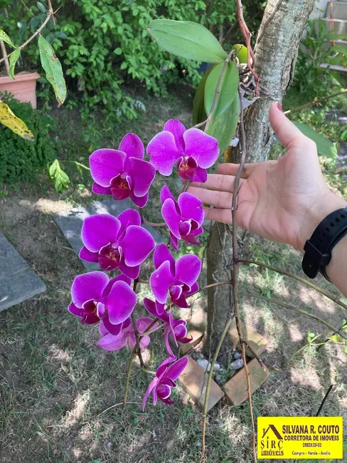 Foto 6 de Casa de Condomínio com 3 quartos à venda, 408m2 em Flamengo, Marica - RJ