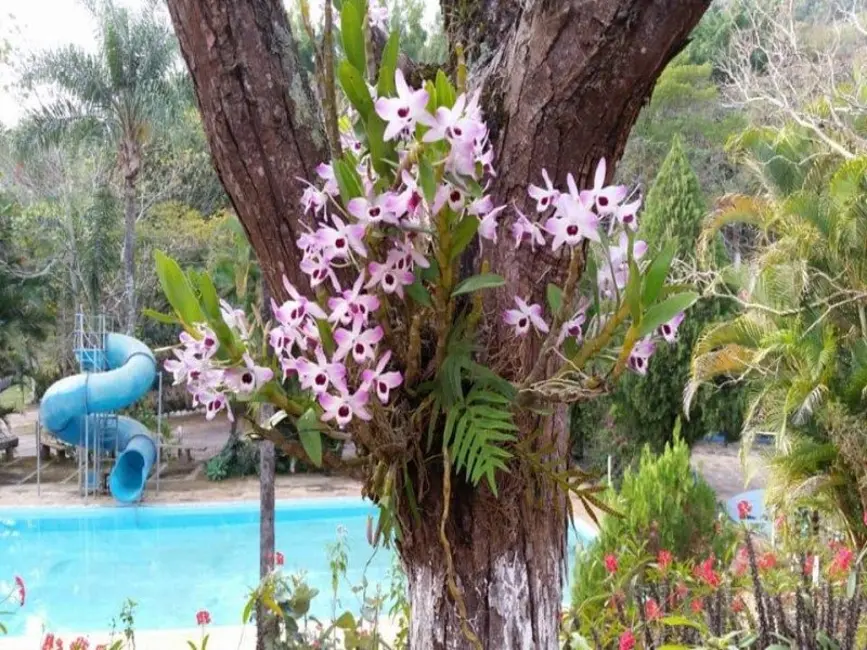 Foto 3 de Sítio / Rancho com 5 quartos à venda, 250000m2 em Centro, Cabreuva - SP