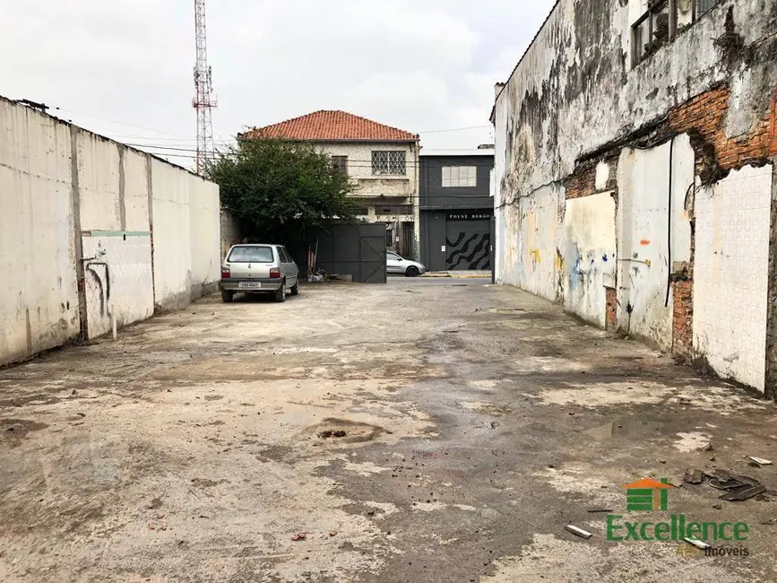 Terreno / Lote à venda e para alugar, 270m2 em Vila Lúcia, São Paulo - SP - imagem 3 Foto 3 de Terreno / Lote à venda e para alugar, 270m2 em Vila Lúcia, São Paulo - SP