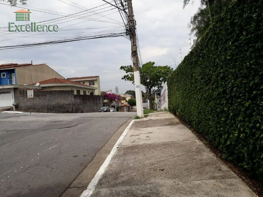 Casa com 3 quartos à venda, 343m2 em Cidade Patriarca, São Paulo - SP - imagem 3 Foto 3 de Casa com 3 quartos à venda, 343m2 em Cidade Patriarca, São Paulo - SP