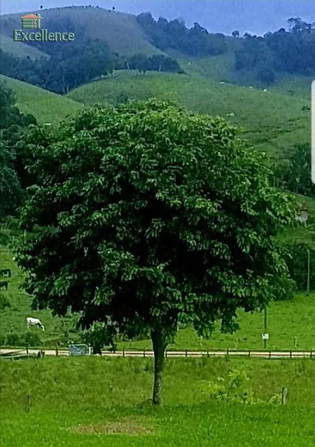 Foto 4 de Chácara com 4 quartos à venda, 16000m2 em Cambui - MG