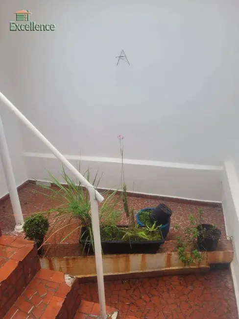 Casa com 2 quartos para alugar, 105m2 em Santa Maria, Sao Caetano Do Sul - SP - imagem 8 Foto 8 de Casa com 2 quartos para alugar, 105m2 em Santa Maria, Sao Caetano Do Sul - SP