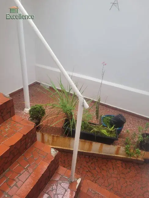 Casa com 2 quartos para alugar, 105m2 em Santa Maria, Sao Caetano Do Sul - SP - imagem 9 Foto 9 de Casa com 2 quartos para alugar, 105m2 em Santa Maria, Sao Caetano Do Sul - SP