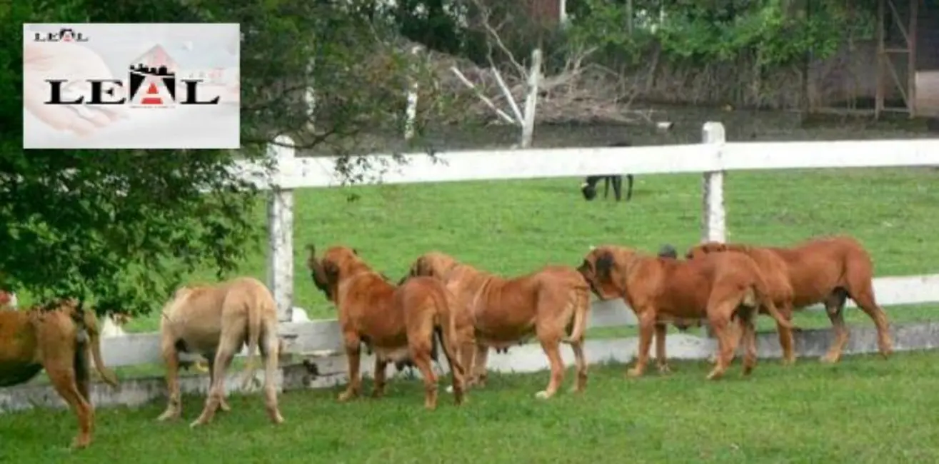Casa com 3 quartos à venda, 2000m2 em Araçatiba, Marica - RJ - imagem 8 Foto 8 de Casa com 3 quartos à venda, 2000m2 em Araçatiba, Marica - RJ