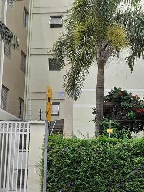 Apartamento com 2 quartos à venda, 58m2 em Vila Santana, Campinas - SP - imagem 1 Foto 1 de Apartamento com 2 quartos à venda, 58m2 em Vila Santana, Campinas - SP