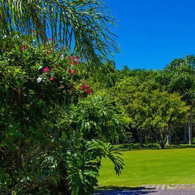 Terreno / Lote à venda, 1263m2 em Ingleses do Rio Vermelho, Florianopolis - SC - imagem 3 Foto 3 de Terreno / Lote à venda, 1263m2 em Ingleses do Rio Vermelho, Florianopolis - SC
