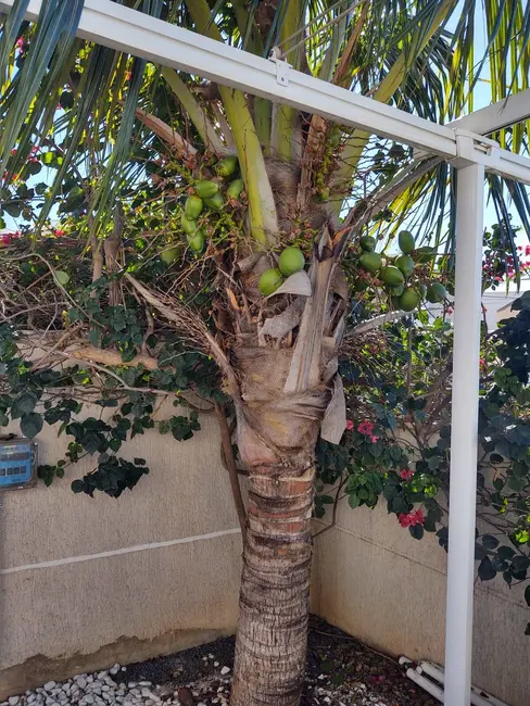 Casa com 3 quartos à venda, 360m2 em Campinas - SP - imagem 6 Foto 6 de Casa com 3 quartos à venda, 360m2 em Campinas - SP