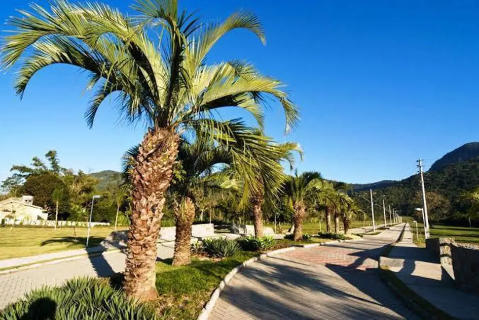 Foto 6 de Terreno / Lote à venda, 1593m2 em Ribeirão da Ilha, Florianopolis - SC